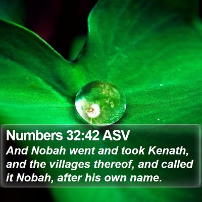 Numbers 32:42 ASV Bible Verse Image