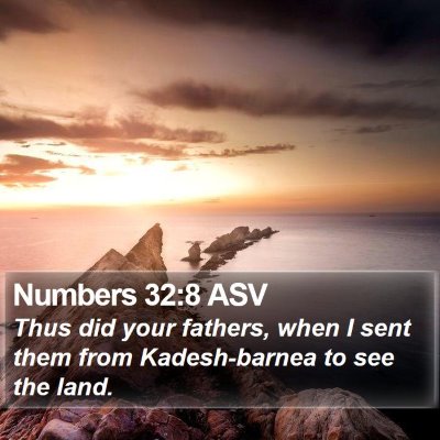 Numbers 32:8 ASV Bible Verse Image