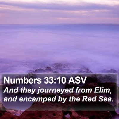Numbers 33:10 ASV Bible Verse Image
