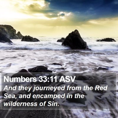 Numbers 33:11 ASV Bible Verse Image