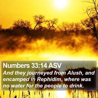 Numbers 33:14 ASV Bible Verse Image
