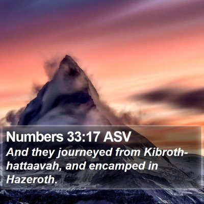Numbers 33:17 ASV Bible Verse Image