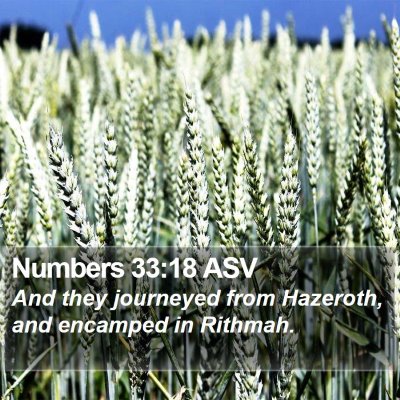 Numbers 33:18 ASV Bible Verse Image