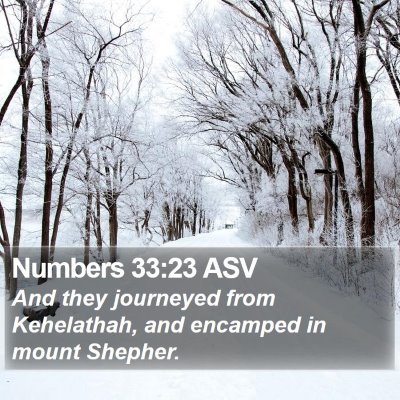 Numbers 33:23 ASV Bible Verse Image