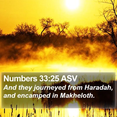 Numbers 33:25 ASV Bible Verse Image