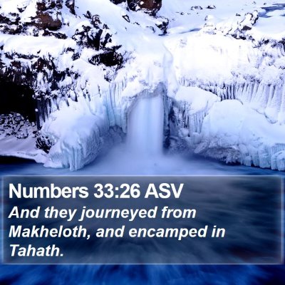 Numbers 33:26 ASV Bible Verse Image