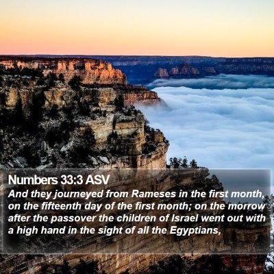 Numbers 33:3 ASV Bible Verse Image