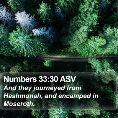 Numbers 33:30 ASV Bible Verse Image