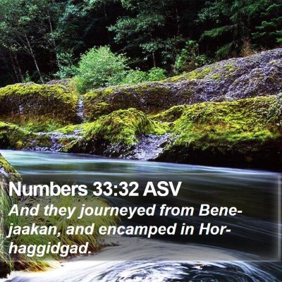 Numbers 33:32 ASV Bible Verse Image