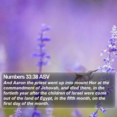 Numbers 33:38 ASV Bible Verse Image