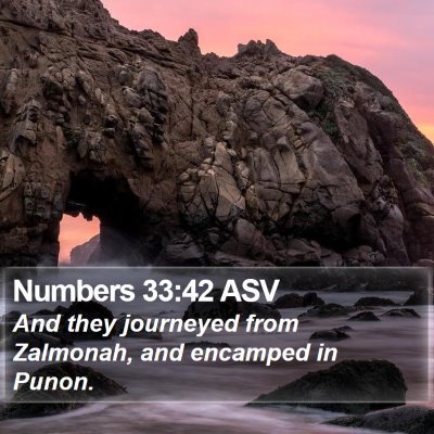 Numbers 33:42 ASV Bible Verse Image