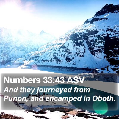 Numbers 33:43 ASV Bible Verse Image