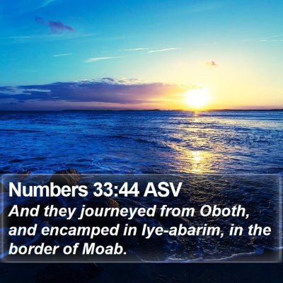 Numbers 33:44 ASV Bible Verse Image
