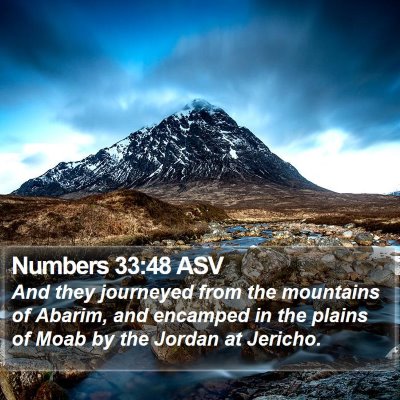 Numbers 33:48 ASV Bible Verse Image