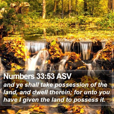 Numbers 33:53 ASV Bible Verse Image