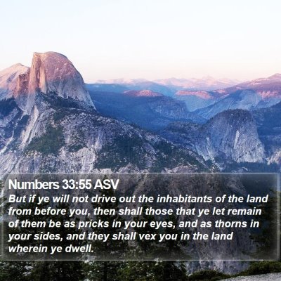 Numbers 33:55 ASV Bible Verse Image