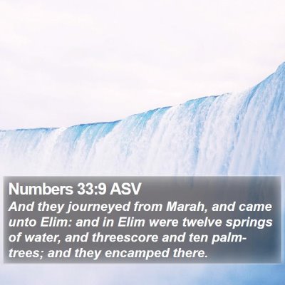 Numbers 33:9 ASV Bible Verse Image