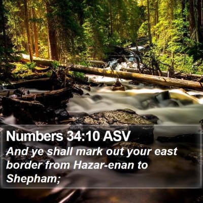 Numbers 34:10 ASV Bible Verse Image
