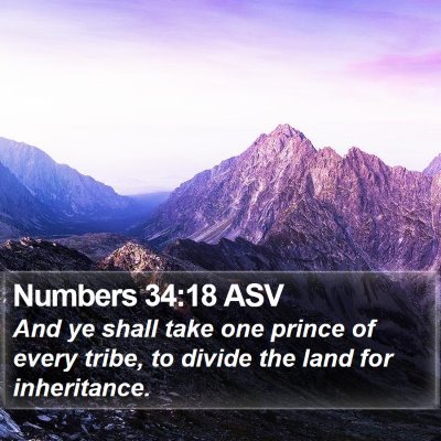 Numbers 34:18 ASV Bible Verse Image