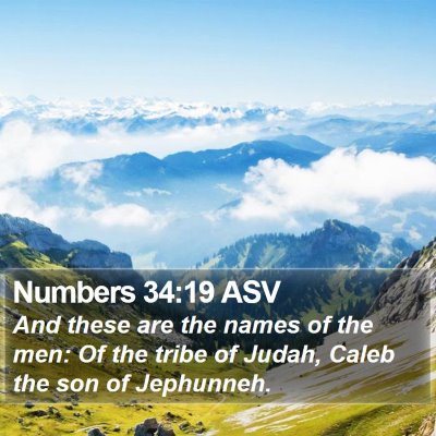 Numbers 34:19 ASV Bible Verse Image