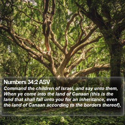 Numbers 34:2 ASV Bible Verse Image