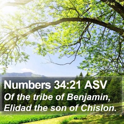 Numbers 34:21 ASV Bible Verse Image