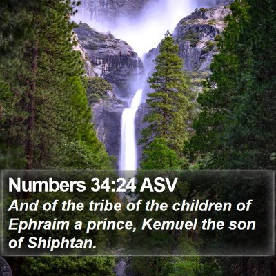 Numbers 34:24 ASV Bible Verse Image