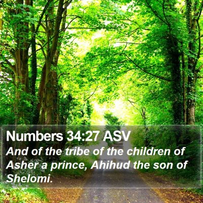 Numbers 34:27 ASV Bible Verse Image