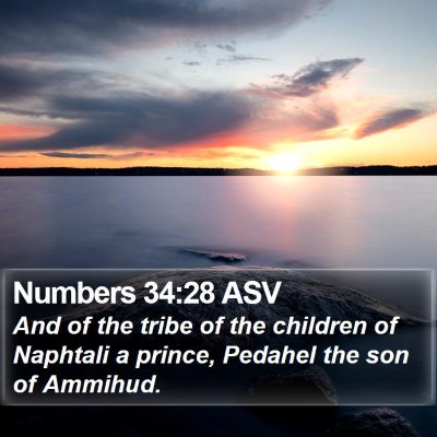 Numbers 34:28 ASV Bible Verse Image