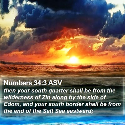 Numbers 34:3 ASV Bible Verse Image