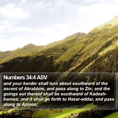 Numbers 34:4 ASV Bible Verse Image