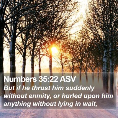 Numbers 35:22 ASV Bible Verse Image