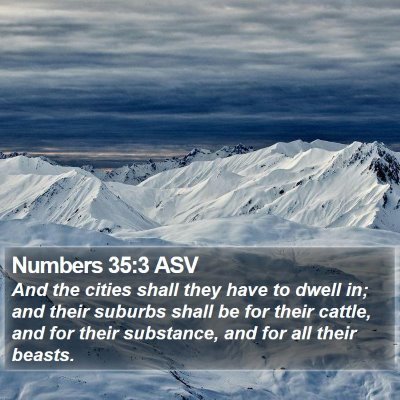 Numbers 35:3 ASV Bible Verse Image