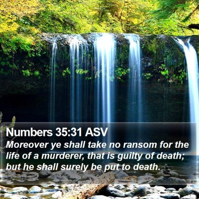 Numbers 35:31 ASV Bible Verse Image