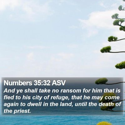 Numbers 35:32 ASV Bible Verse Image