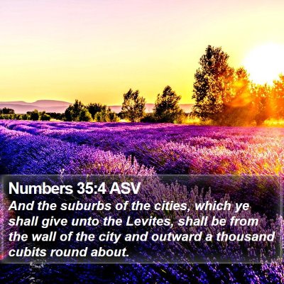 Numbers 35:4 ASV Bible Verse Image