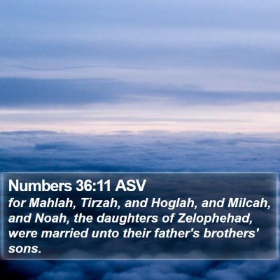 Numbers 36:11 ASV Bible Verse Image