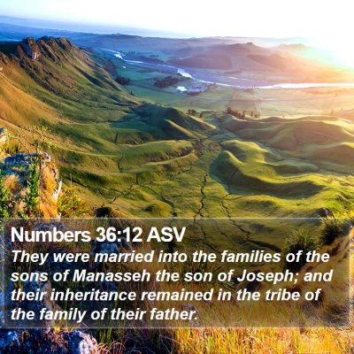 Numbers 36:12 ASV Bible Verse Image