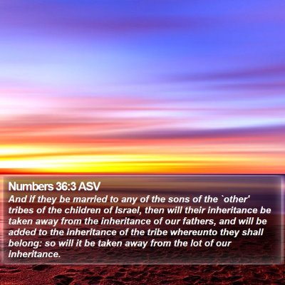 Numbers 36:3 ASV Bible Verse Image