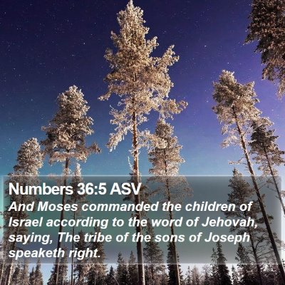 Numbers 36:5 ASV Bible Verse Image