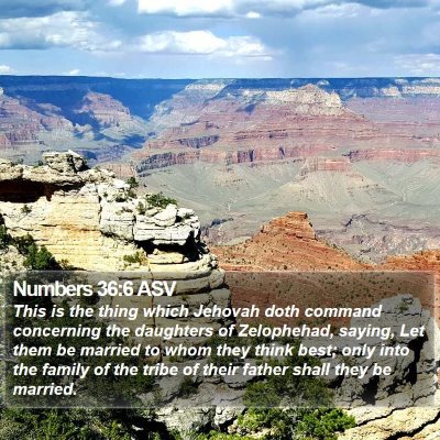 Numbers 36:6 ASV Bible Verse Image