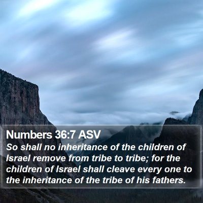 Numbers 36:7 ASV Bible Verse Image