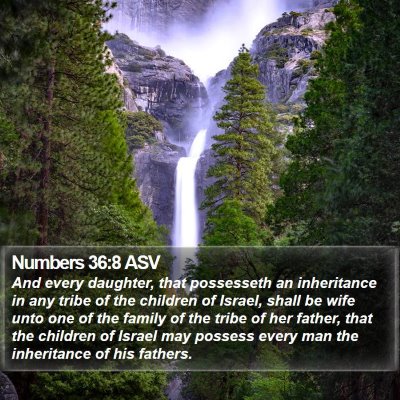 Numbers 36:8 ASV Bible Verse Image