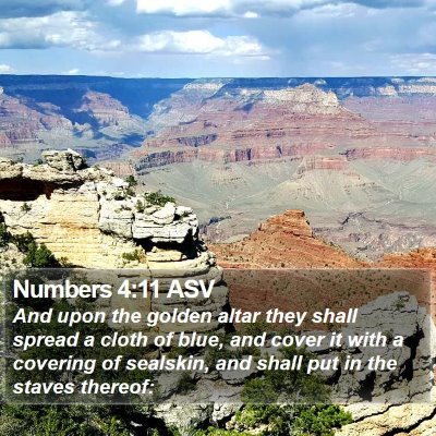 Numbers 4:11 ASV Bible Verse Image