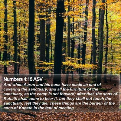 Numbers 4:15 ASV Bible Verse Image
