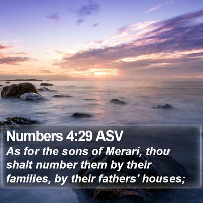 Numbers 4:29 ASV Bible Verse Image