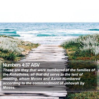Numbers 4:37 ASV Bible Verse Image