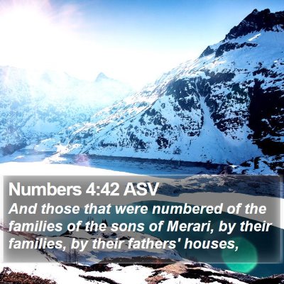 Numbers 4:42 ASV Bible Verse Image