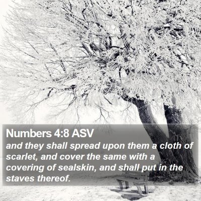 Numbers 4:8 ASV Bible Verse Image