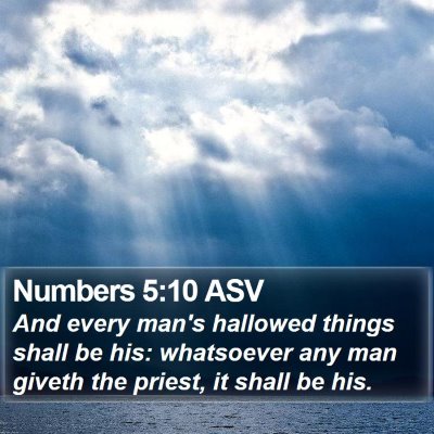 Numbers 5:10 ASV Bible Verse Image
